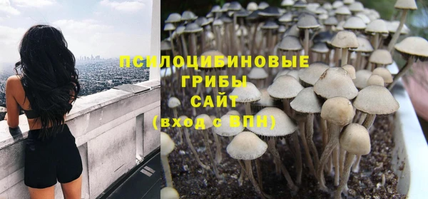 стафф Абинск