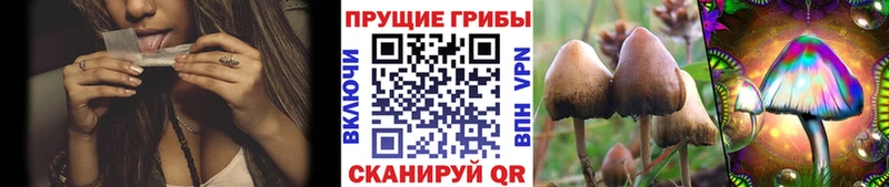купить наркоту Соликамск кракен зеркало Псилоцибиновые грибы прущие грибы