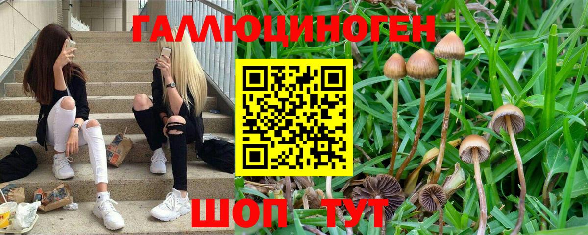 Псилоцибиновые грибы мухоморы  Галлюциногенные грибы Cubensis  Вход с VPN  Соликамск 